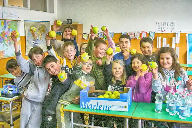 Ciclopatente nelle scuole: Garbagnate - 2011